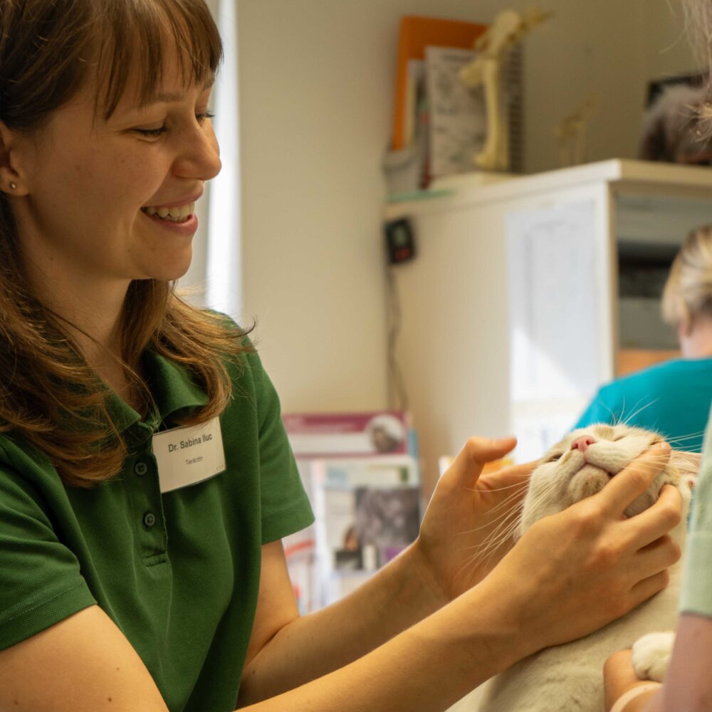 Tiermedizinische Fachkräfte aus dem Ausland – Sabina Illuc bereichert das Team der Tierärzte Kelberg