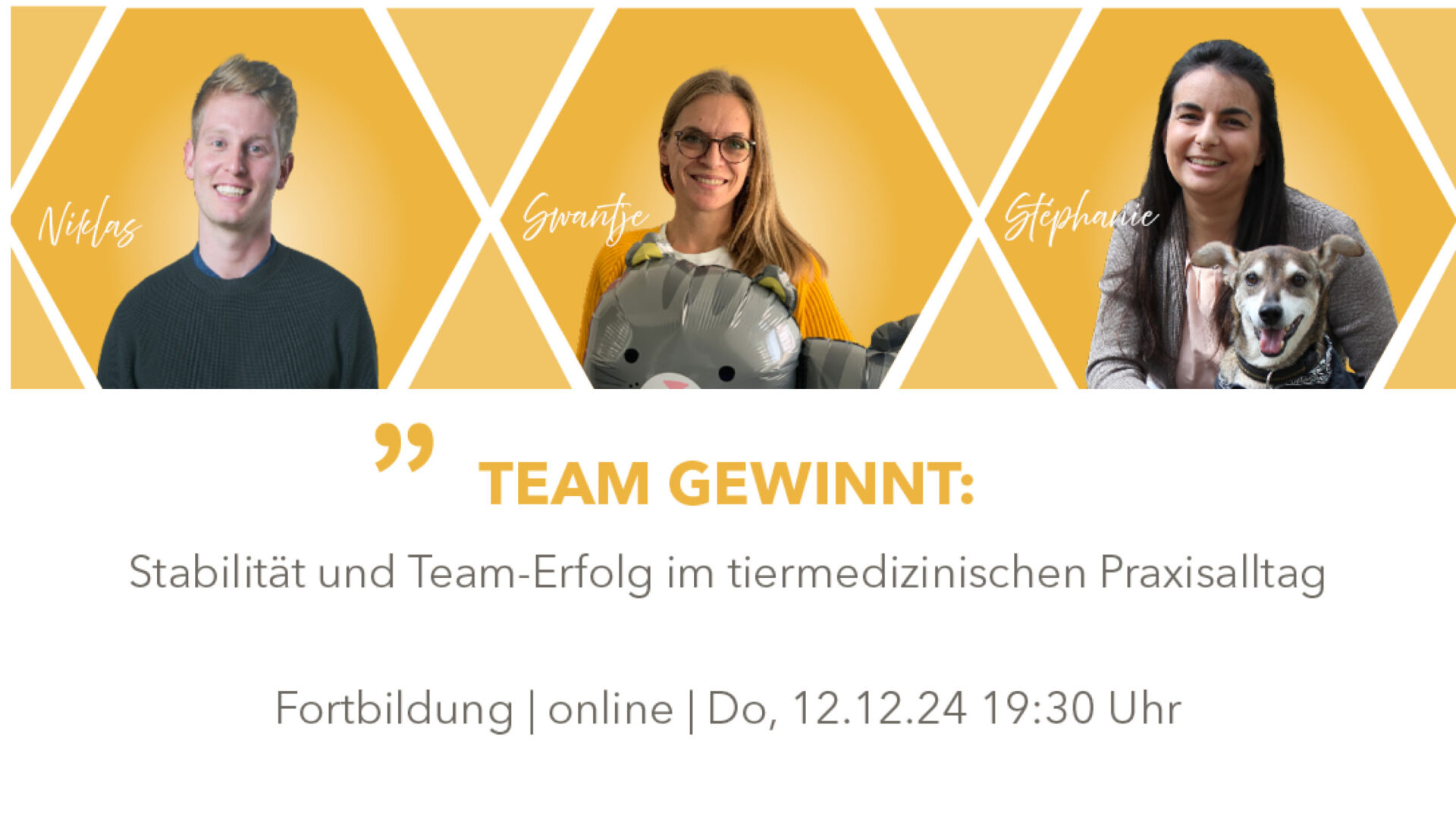 Online-Fortbildung: „Team gewinnt – Stabilität und Team-Erfolg im tiermedizinischen Praxisalltag“